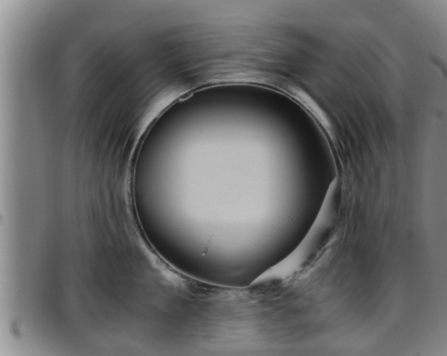 X0000096400909200801311348