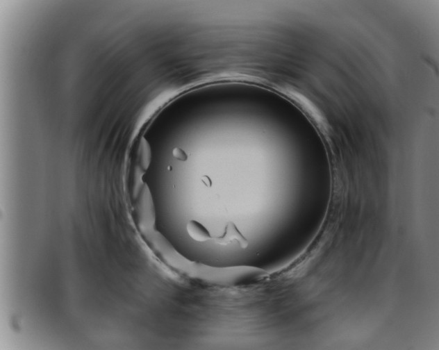 X0000096400910200801311348