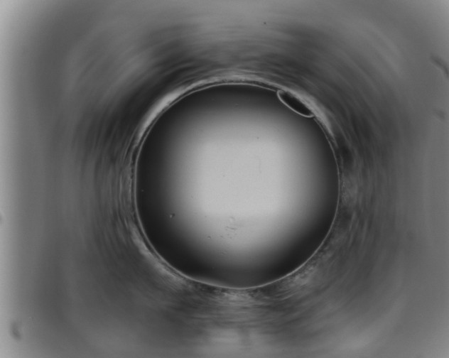 X0000096400911200801311348