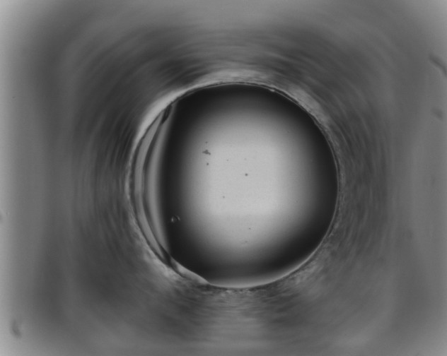 X0000096400912200801311348