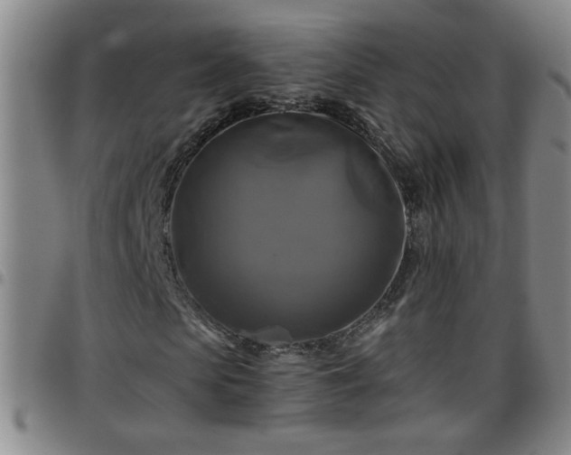 X0000096400913200801311347