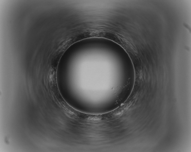 X0000096400914200801311347