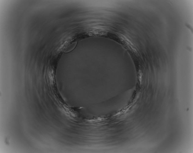 X0000096400915200801311347