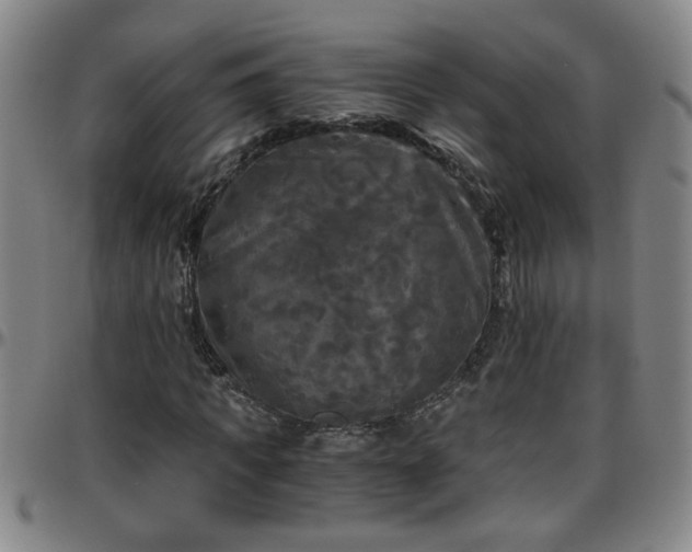 X0000096400917200801311347