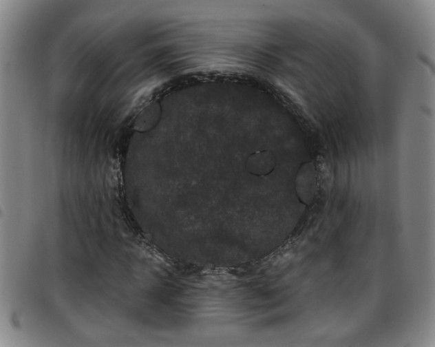 X0000096400918200801311347