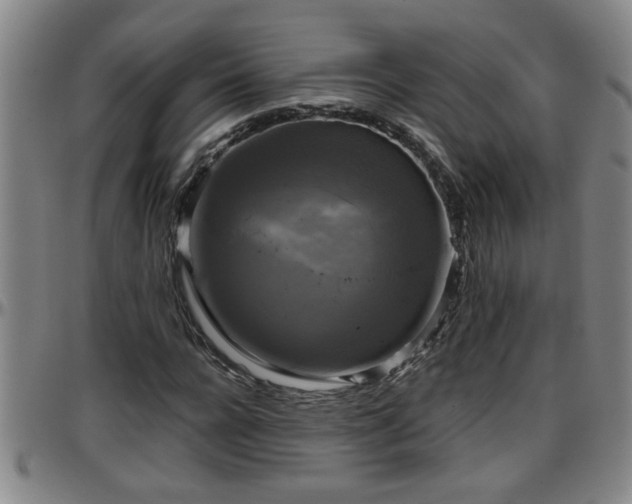 X0000096400920200801311347