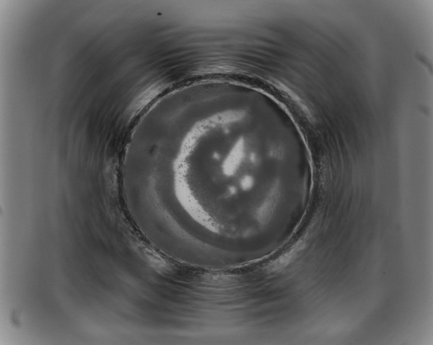 X0000096400921200801311347