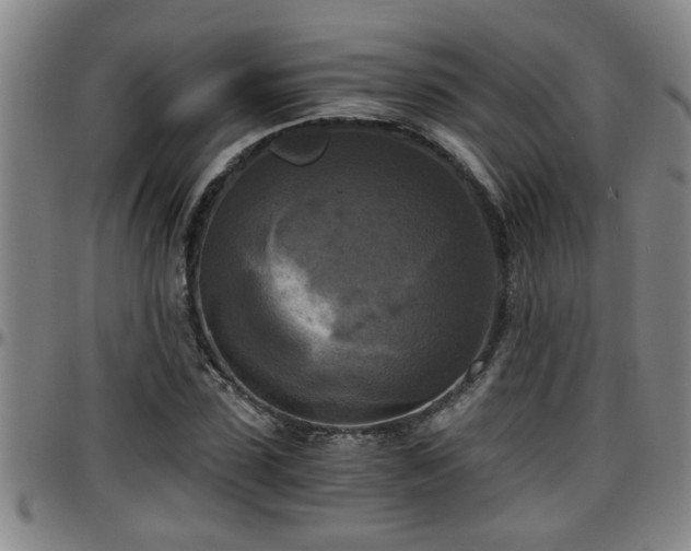 X0000096400923200801311347