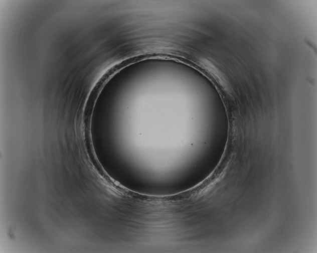 X0000096400924200801311347