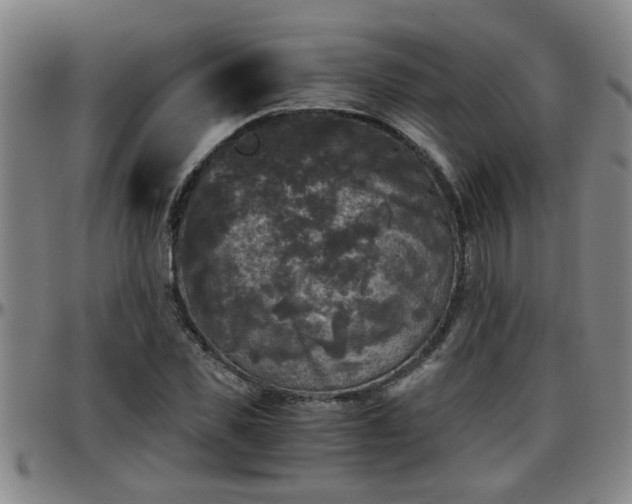 X0000096400925200801311347