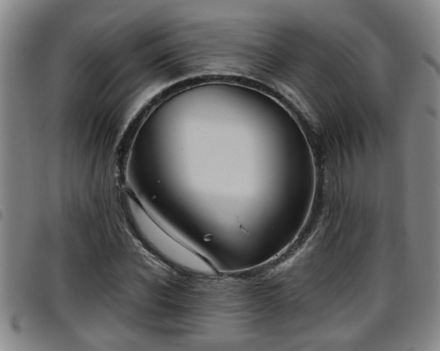 X0000096400926200801311347