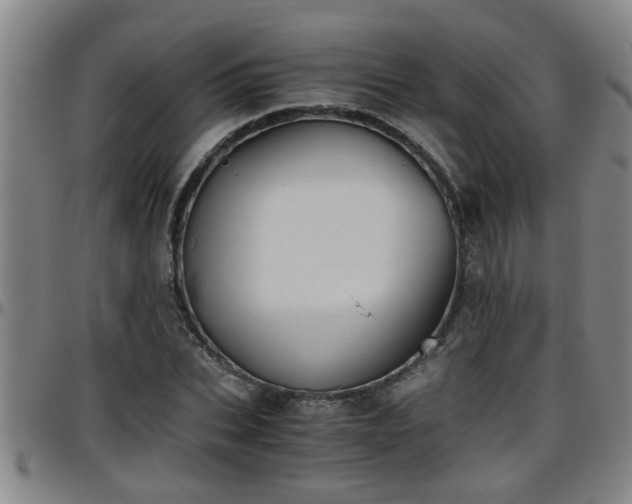 X0000096400927200801311347