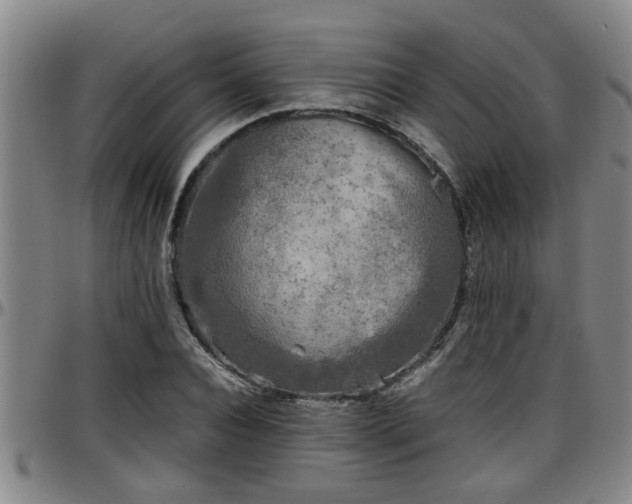 X0000096400928200801311347