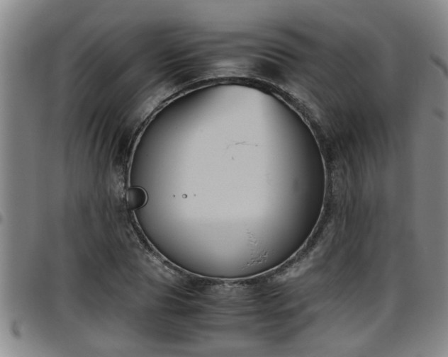 X0000096400929200801311347