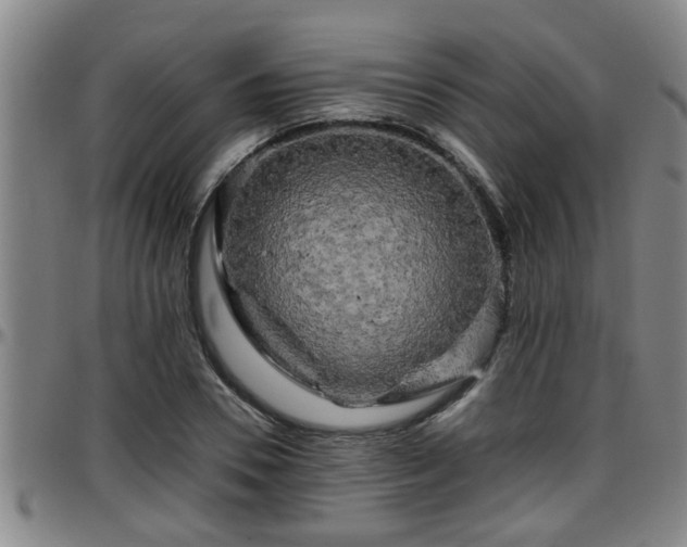 X0000096400930200801311347