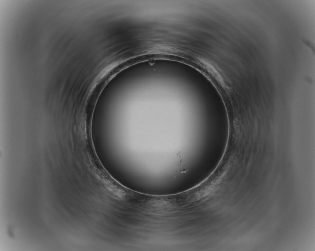 X0000096400931200801311347