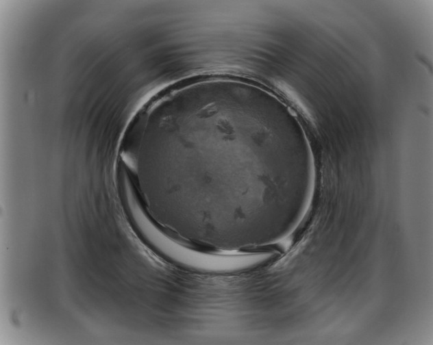 X0000096400932200801311347
