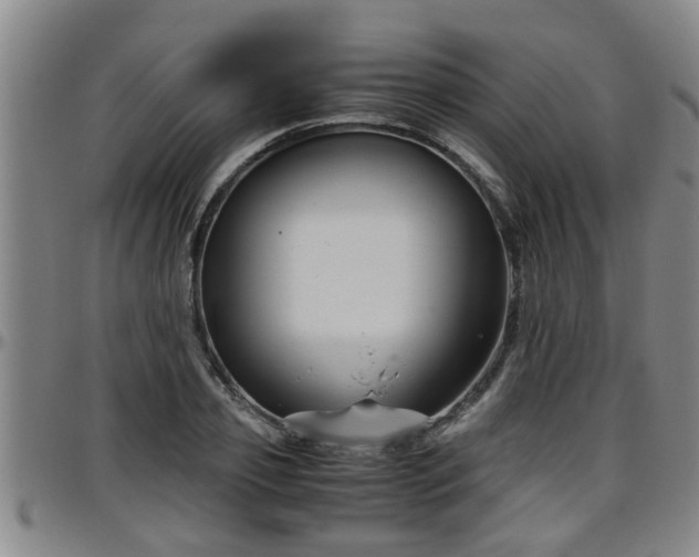 X0000096400933200801311347