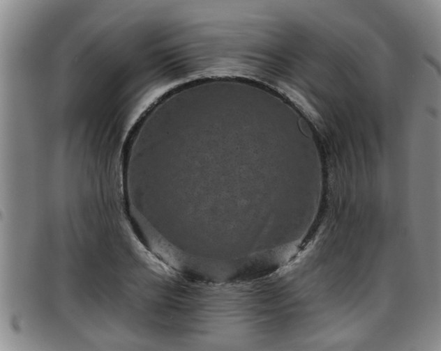 X0000096400934200801311347