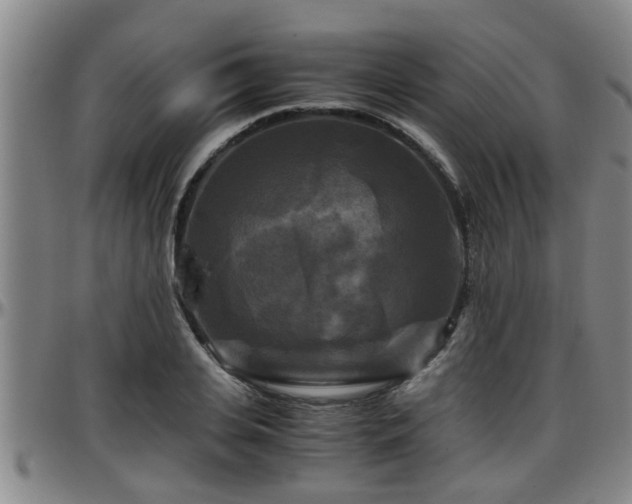 X0000096400935200801311347