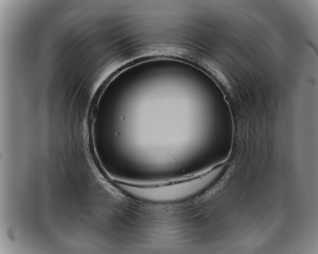 X0000096400936200801311347