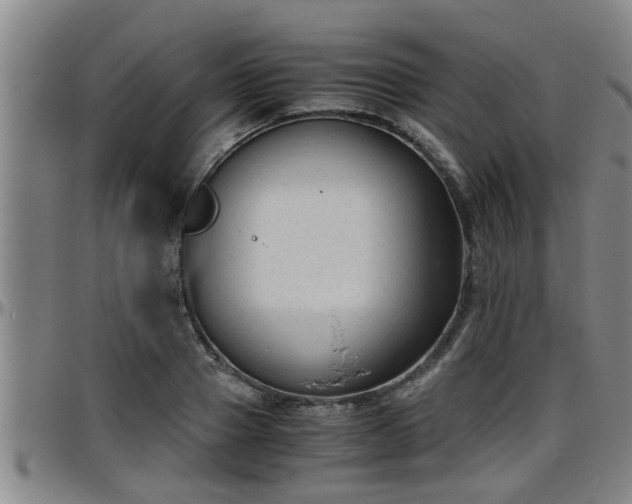 X0000096400937200801311347