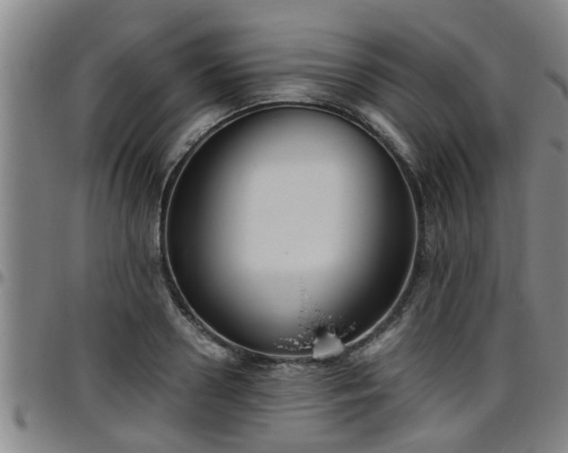 X0000096400938200801311347