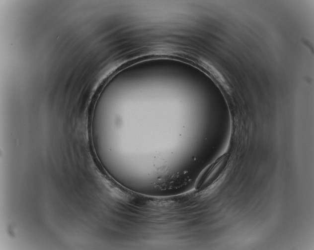 X0000096400939200801311347