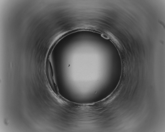 X0000096400940200801311347