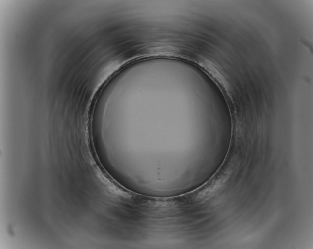 X0000096400941200801311347