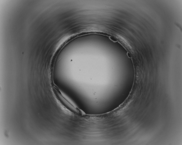 X0000096400942200801311347