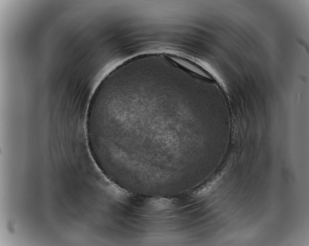 X0000096400943200801311347