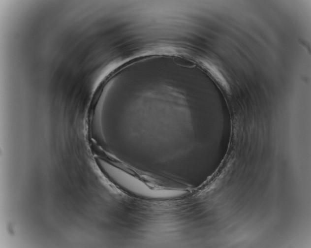 X0000096400944200801311347