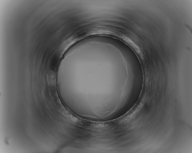 X0000096400945200801311347