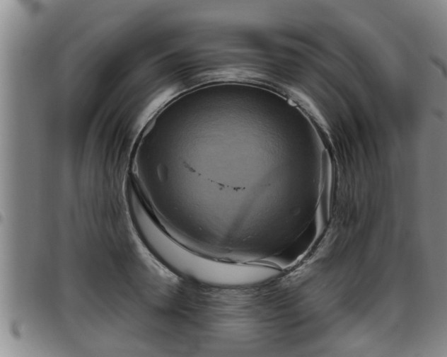 X0000096400946200801311347