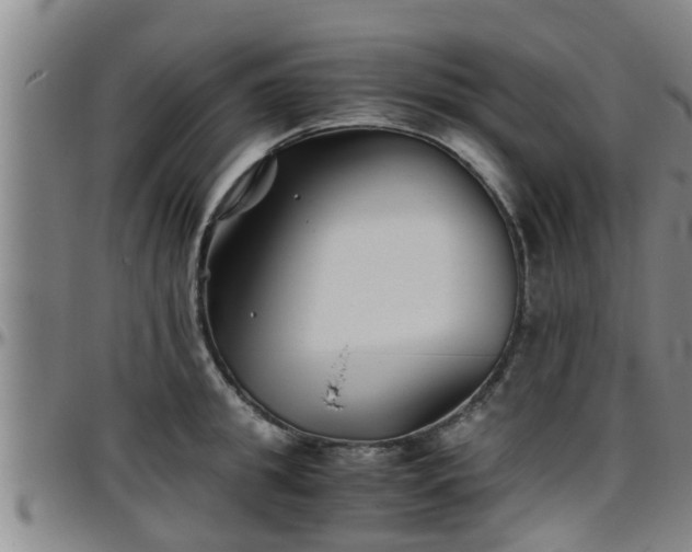 X0000096400949200801311348