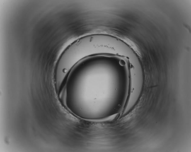 X0000096400950200801311348