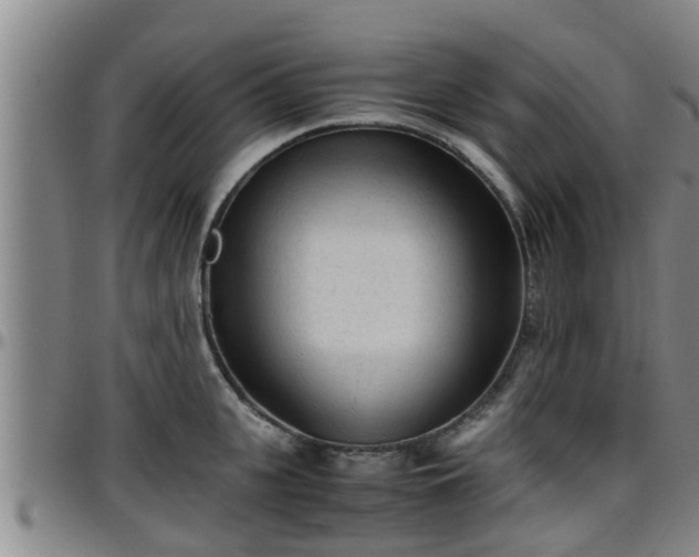 X0000096400951200801311348