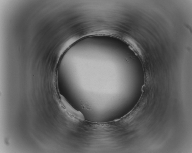 X0000096400952200801311348