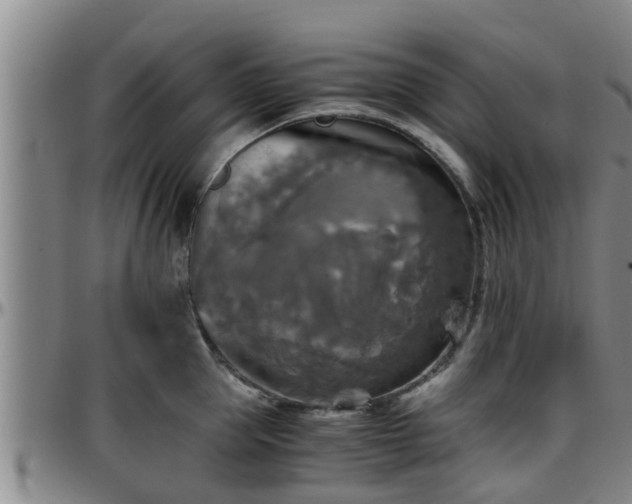 X0000096400953200801311348