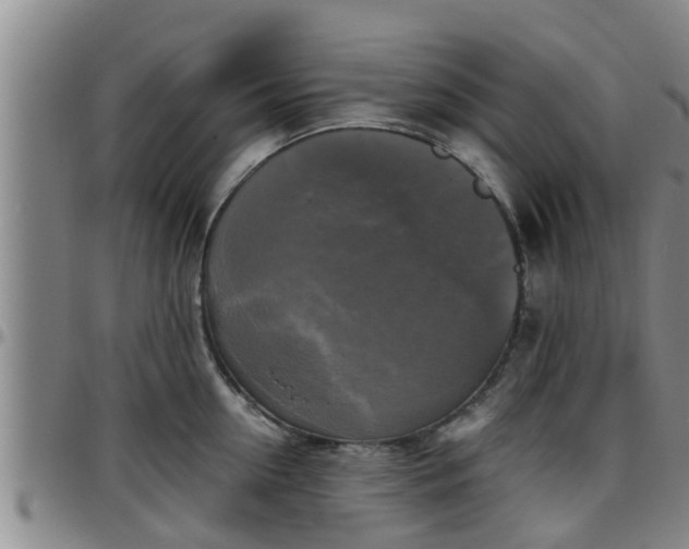 X0000096400954200801311348