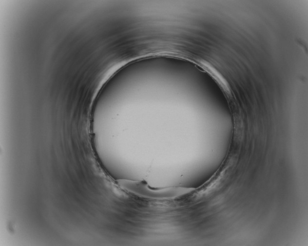 X0000096400956200801311348