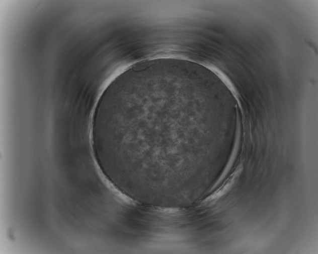 X0000096400957200801311348