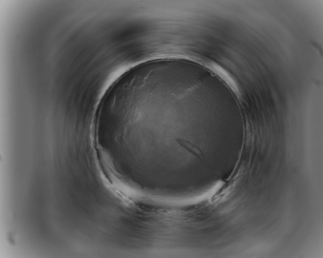 X0000096400958200801311348