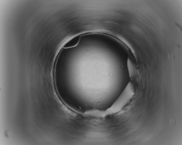 X0000096400959200801311348