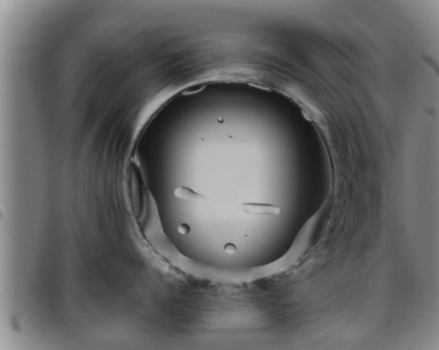 X0000096400960200801311348