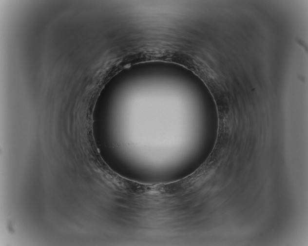 X0000096400961200801311347