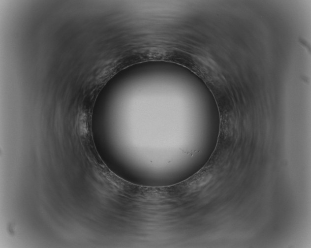 X0000096400962200801311347