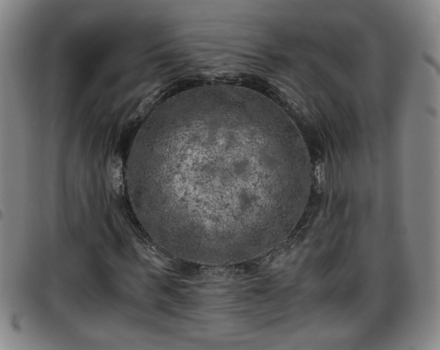 X0000096400963200801311347