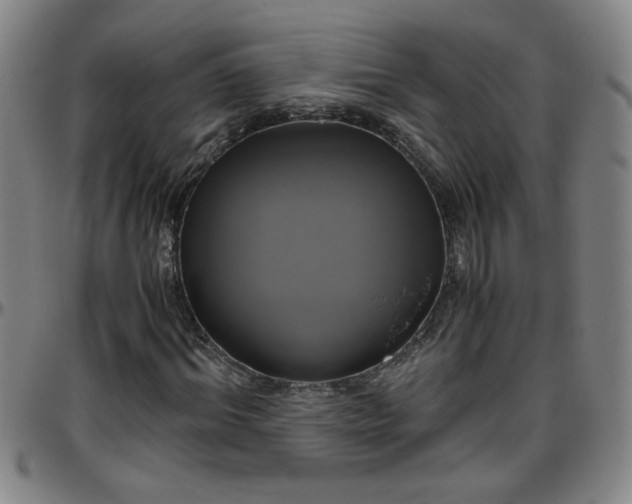 X0000096400964200801311347